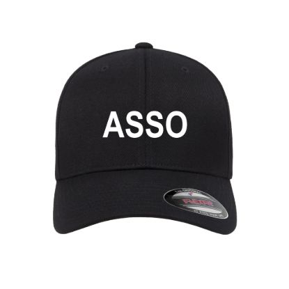 Asso embroidered flexfit fitted ball cap